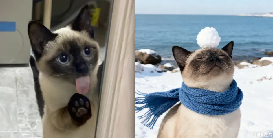 治愈系动物雪景