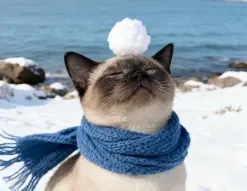 治愈系动物雪景