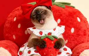 甜美草莓主题动物