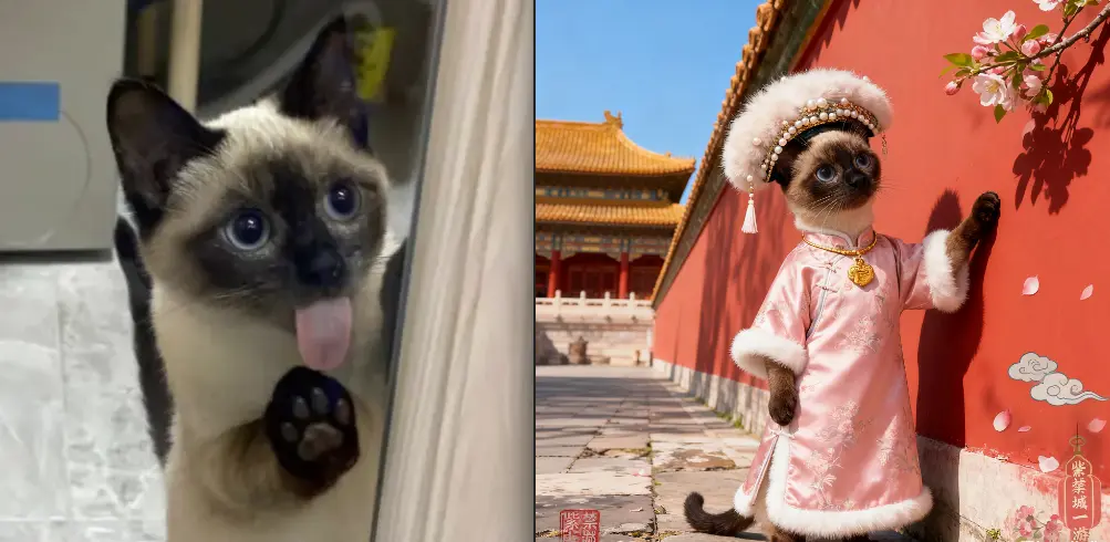 国风清宫旗袍动物