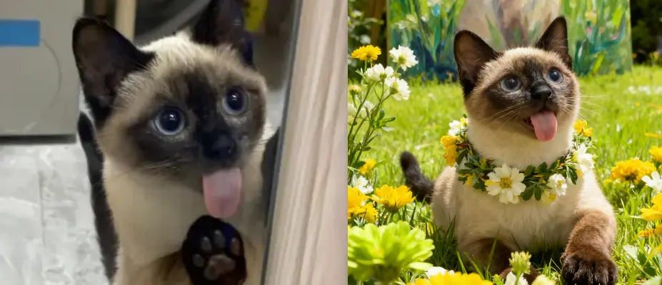 阳光草地动物肖像