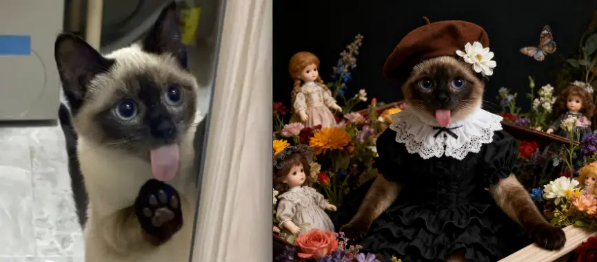 宠物哥特风写真