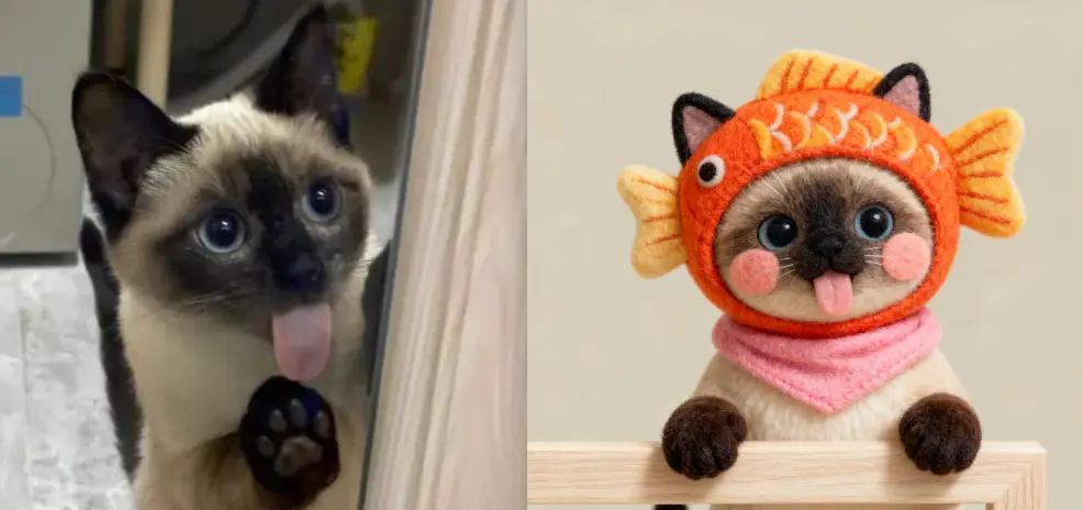 锦鲤鱼头套宠物